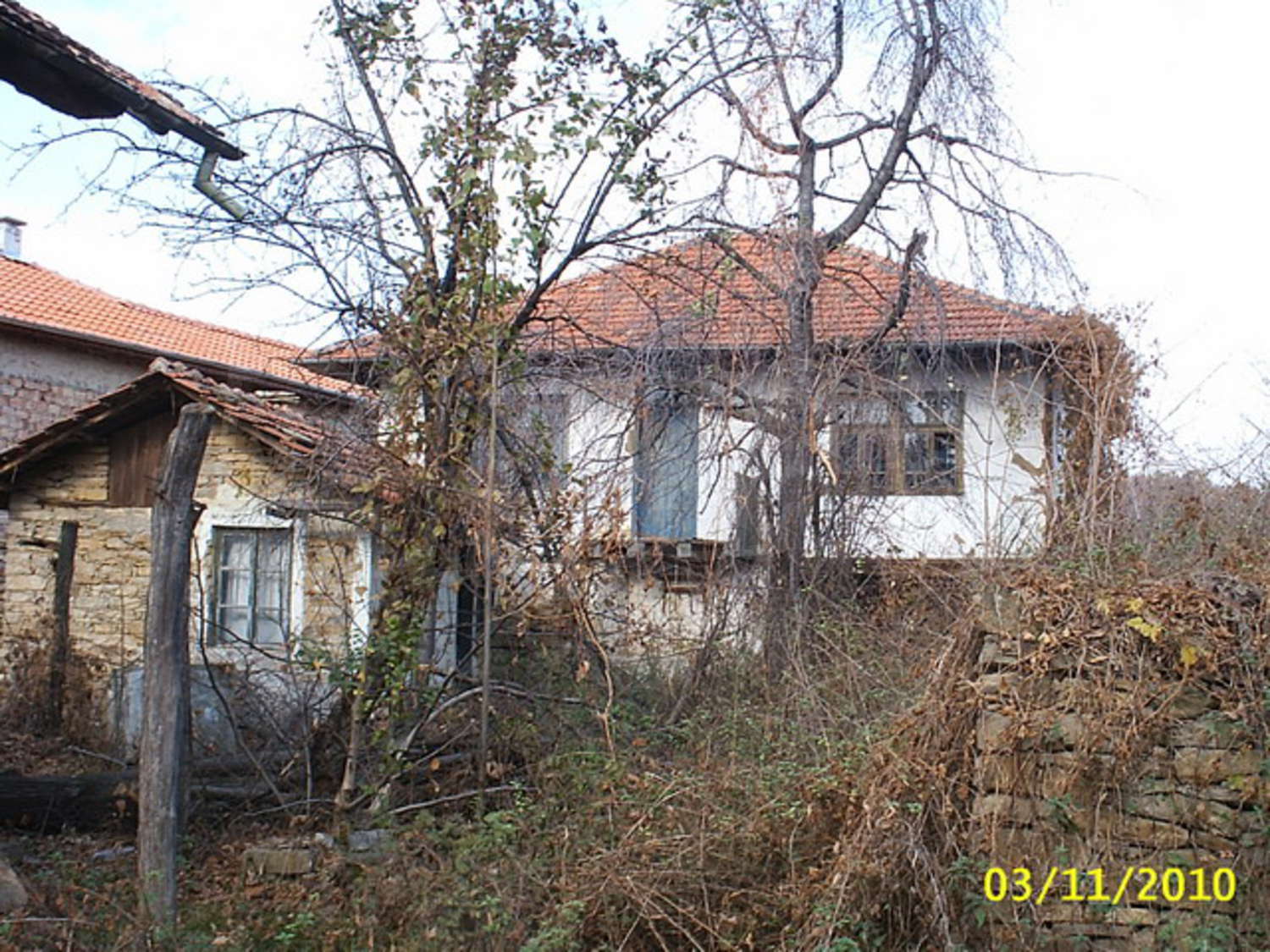 Gallery Picture 16
