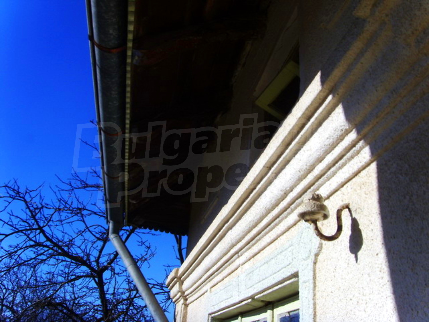 Gallery Picture 5