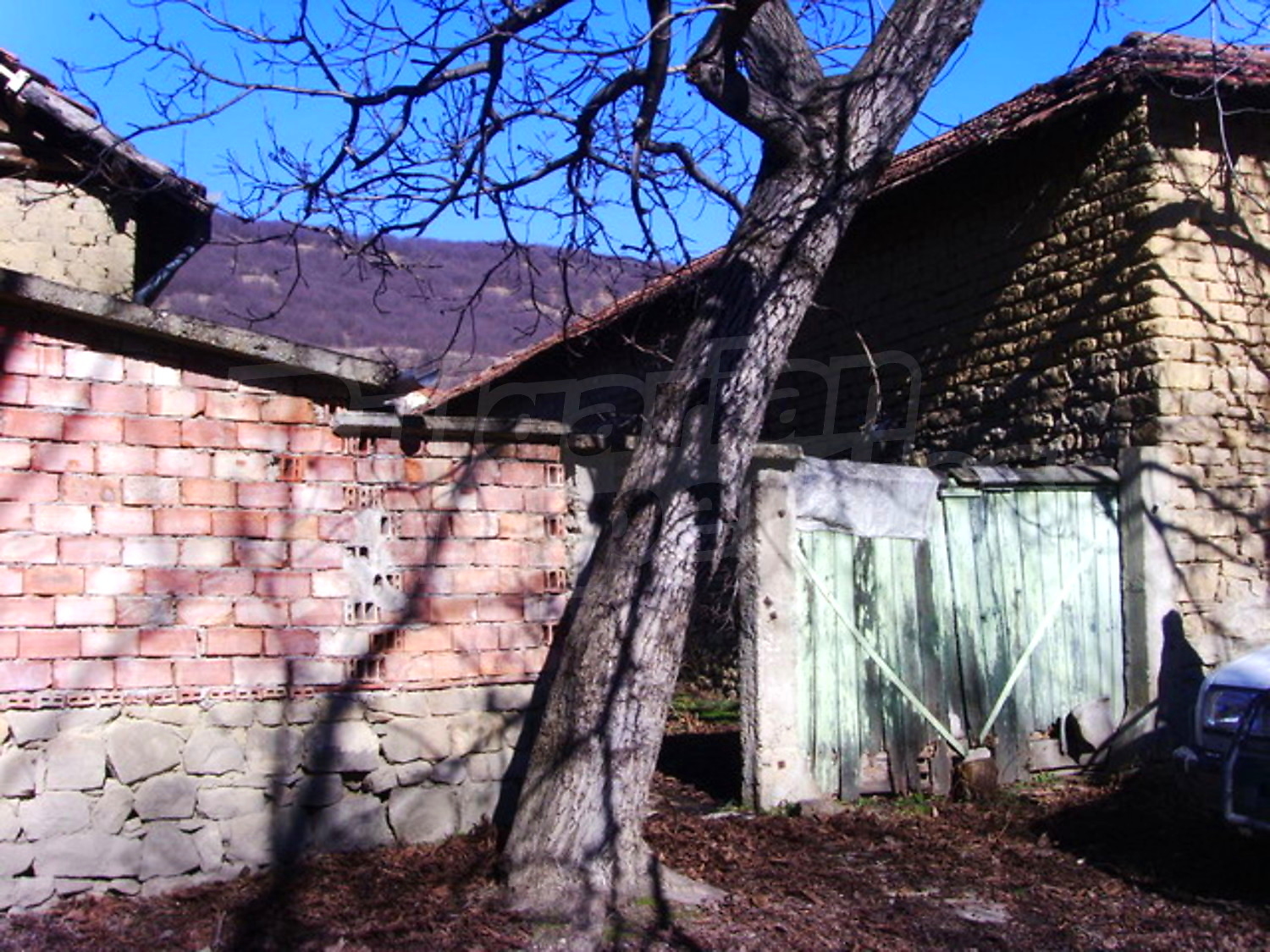 Gallery Picture 6