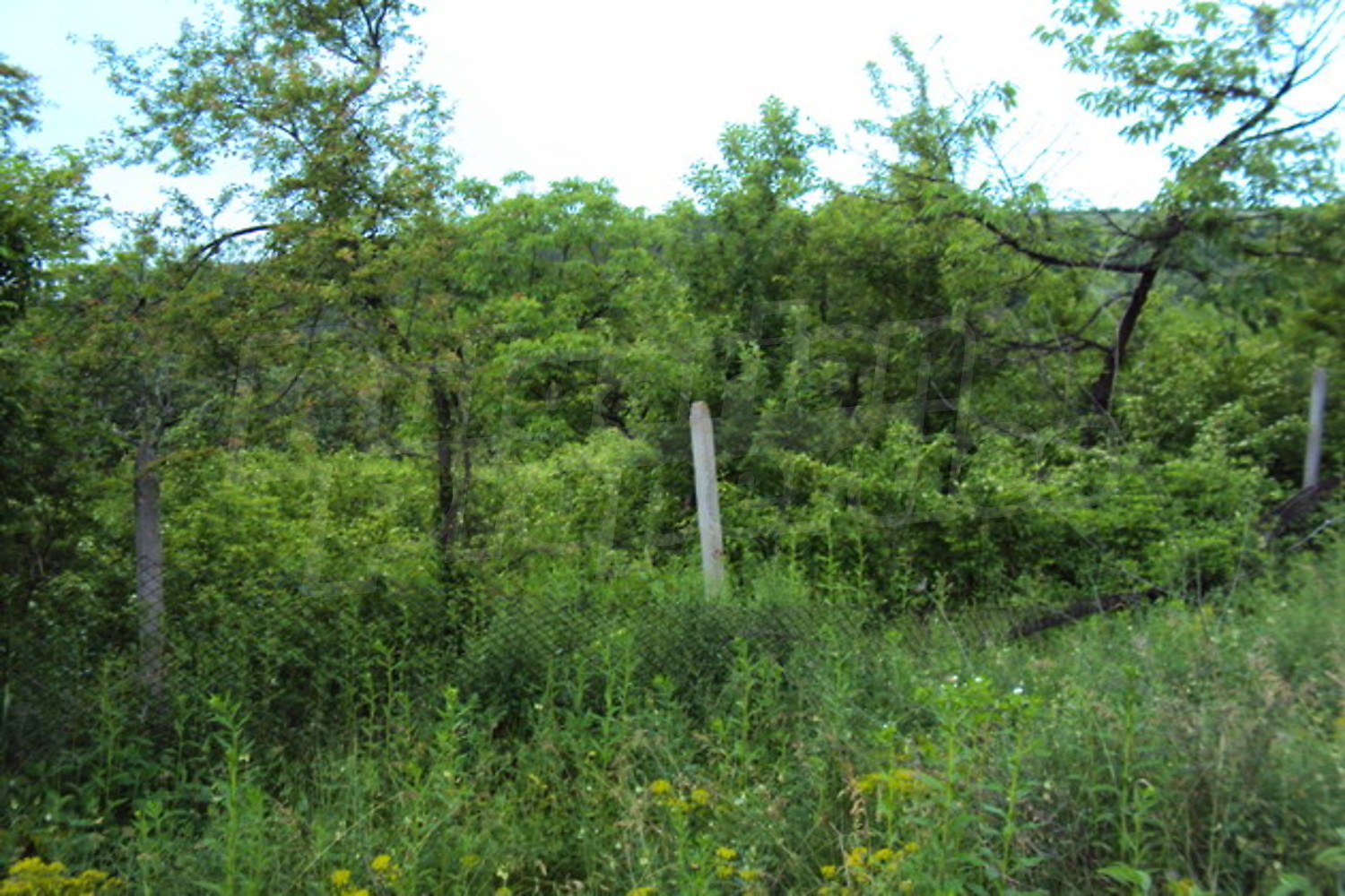 Gallery Picture 2