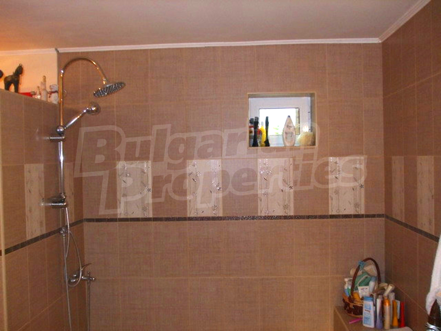 Gallery Picture 10
