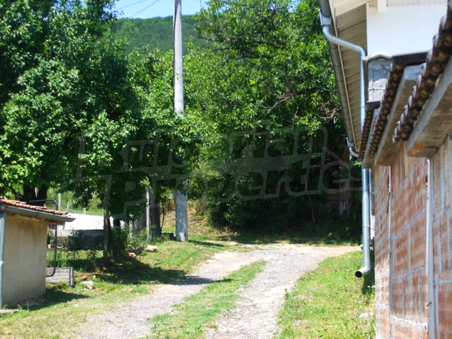 Gallery Picture 12