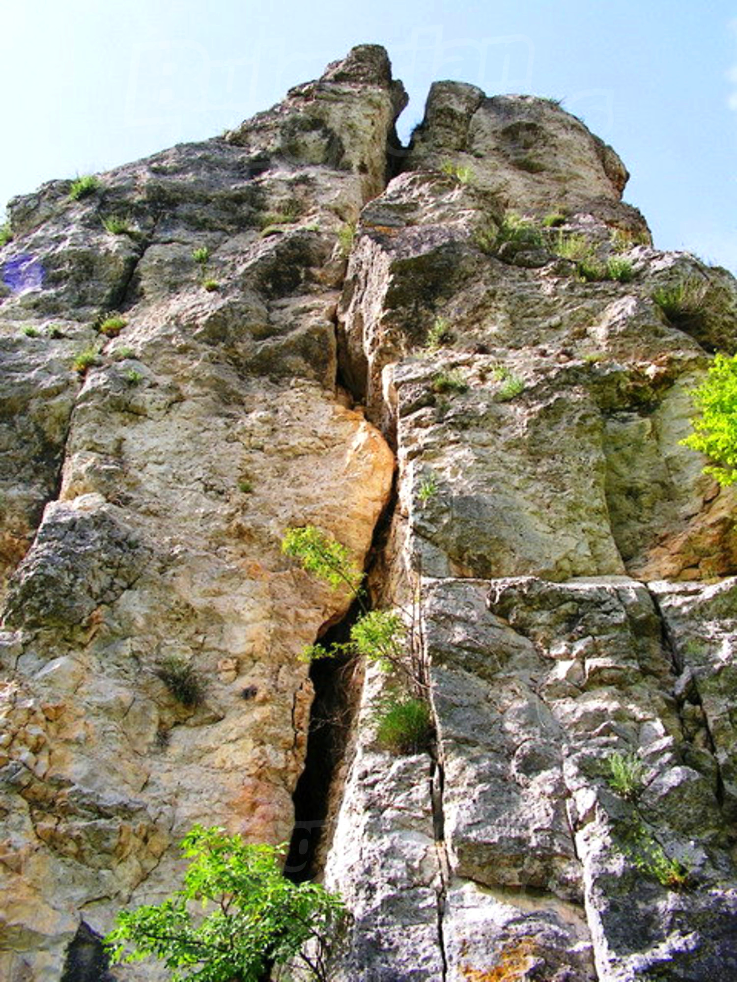 Gallery Picture 5