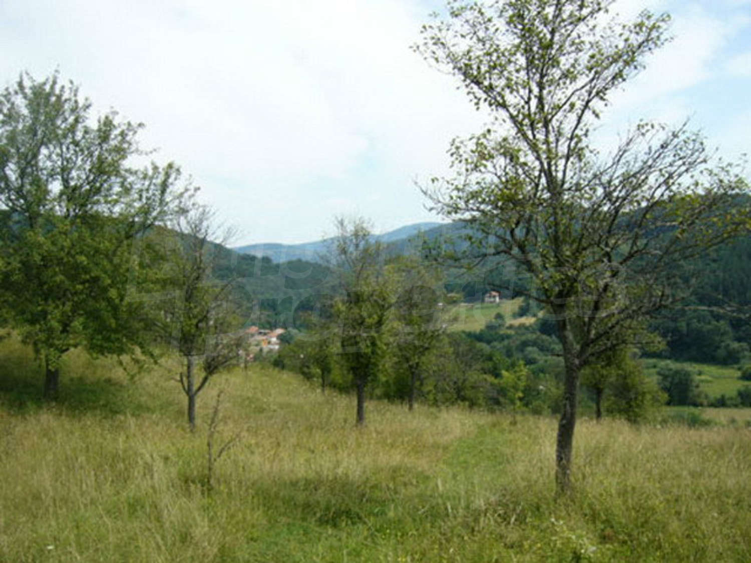 Gallery Picture 10