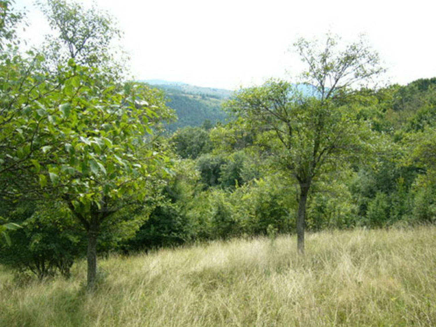 Gallery Picture 6