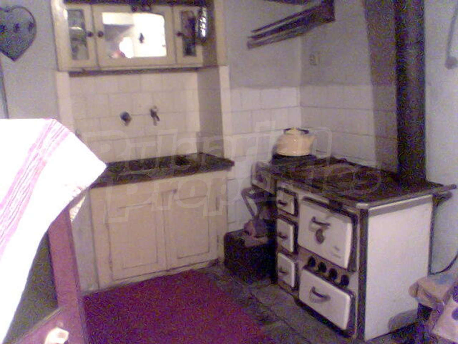 Gallery Picture 10