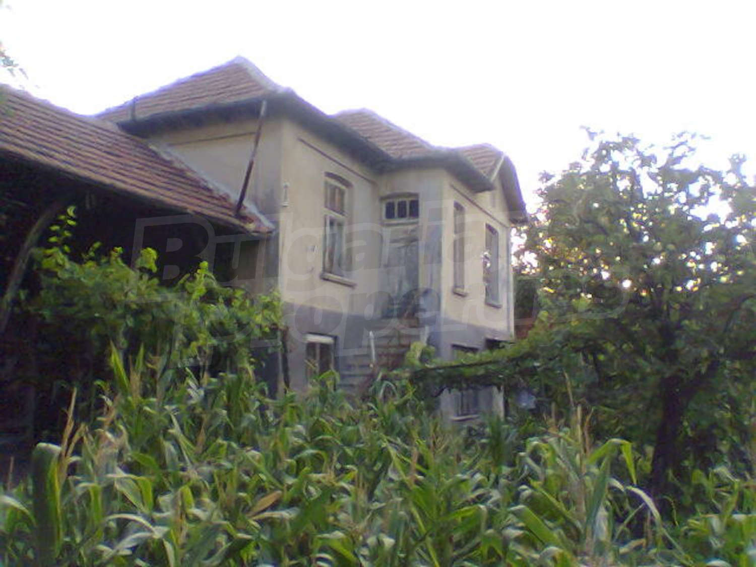 Gallery Picture 12