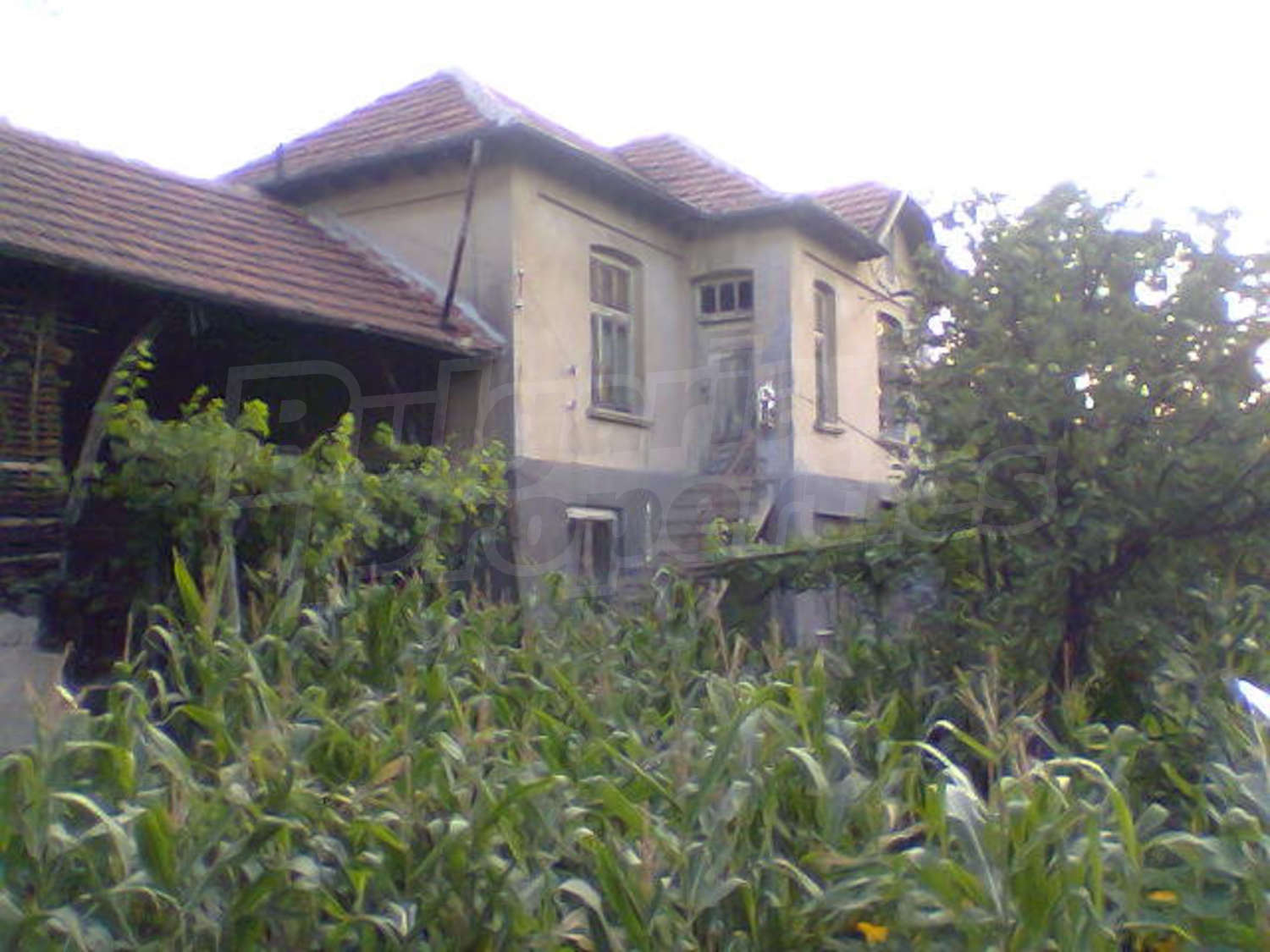 Gallery Picture 13