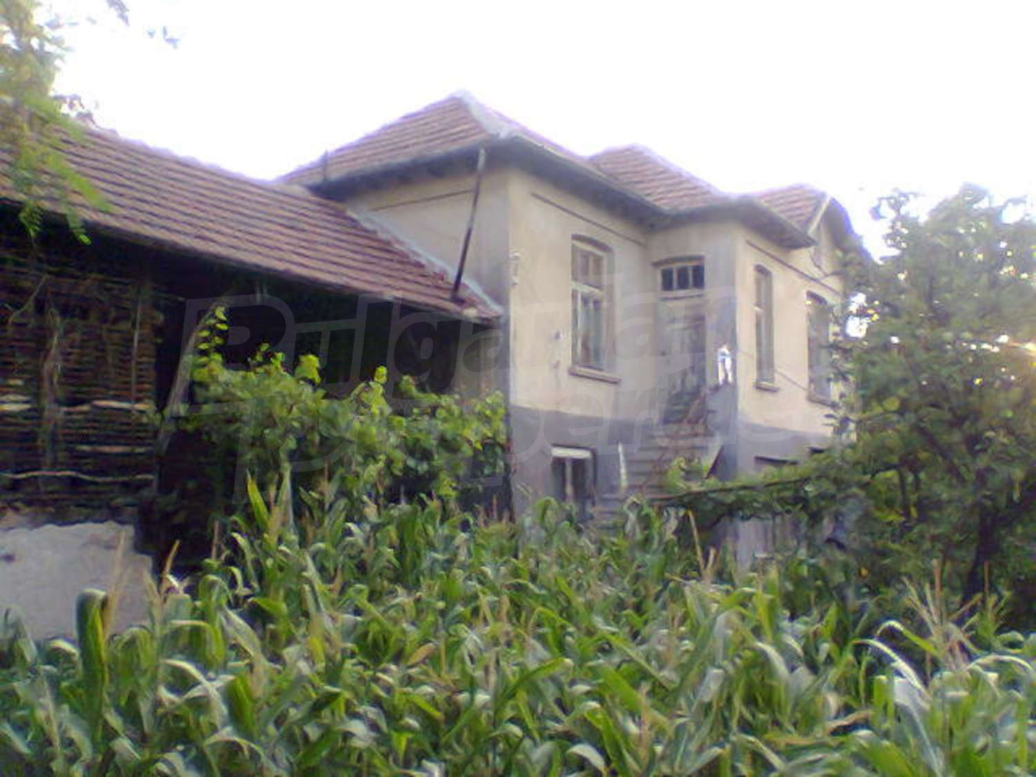 Gallery Picture 14