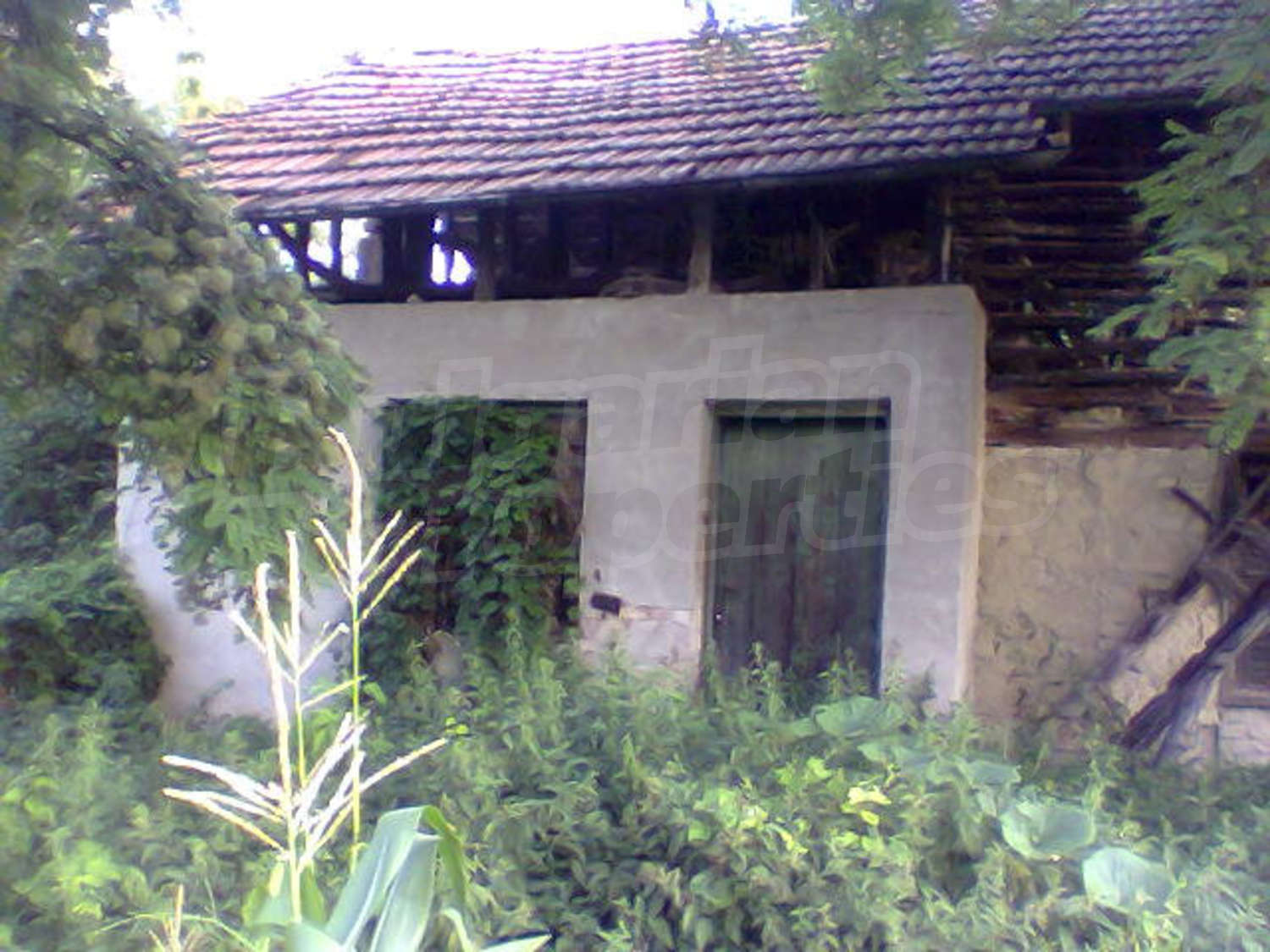 Gallery Picture 15