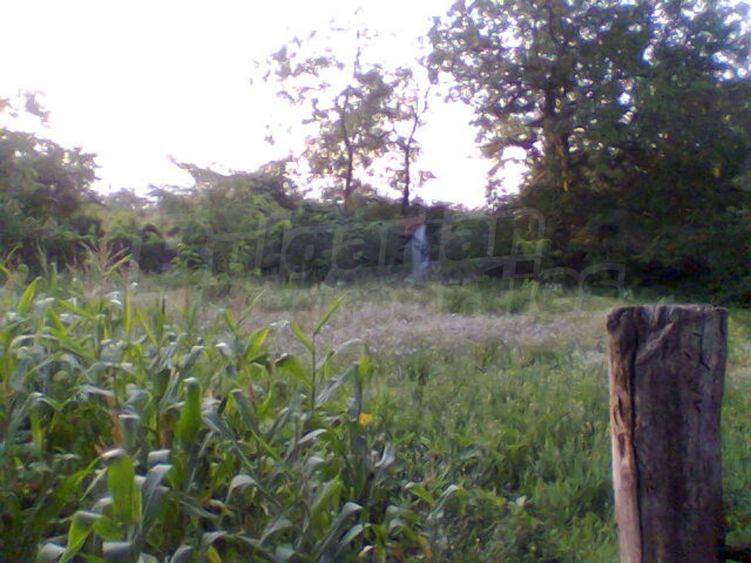 Gallery Picture 16