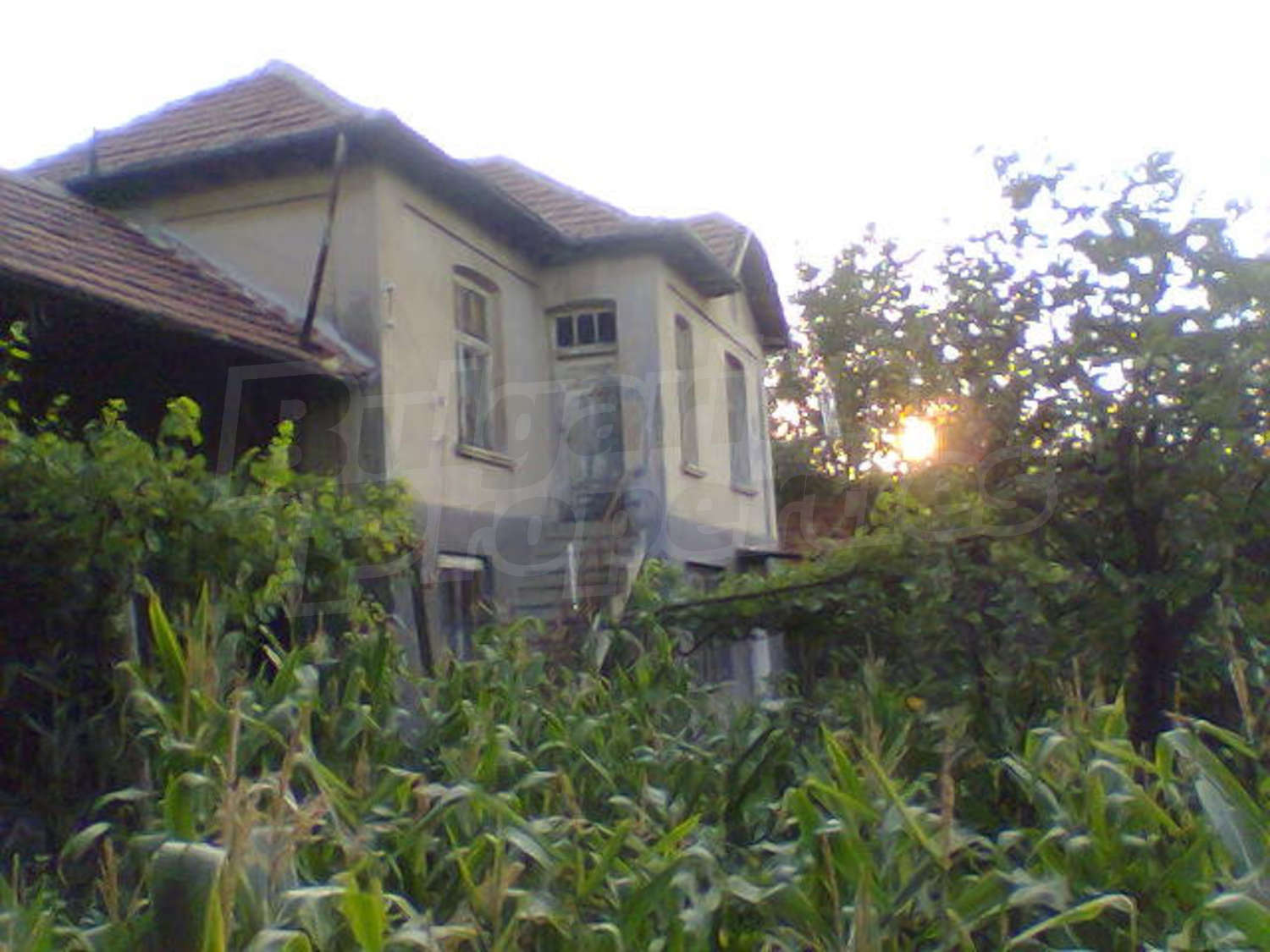 Gallery Picture 17