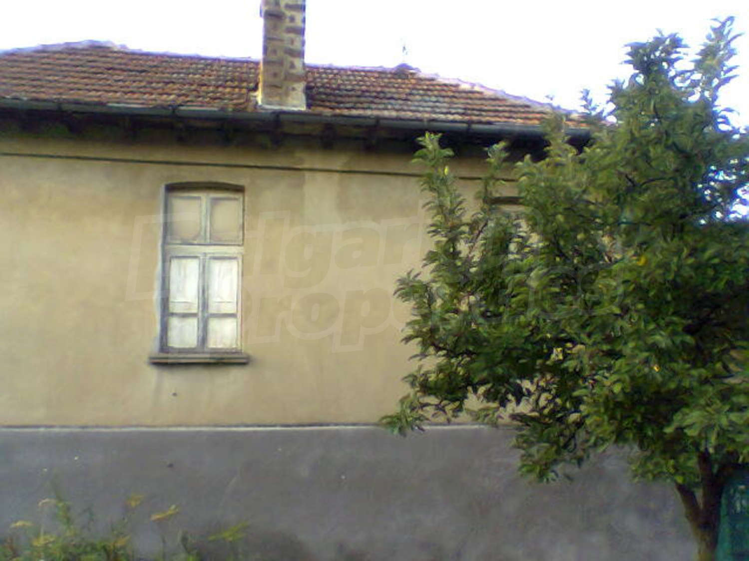 Gallery Picture 19