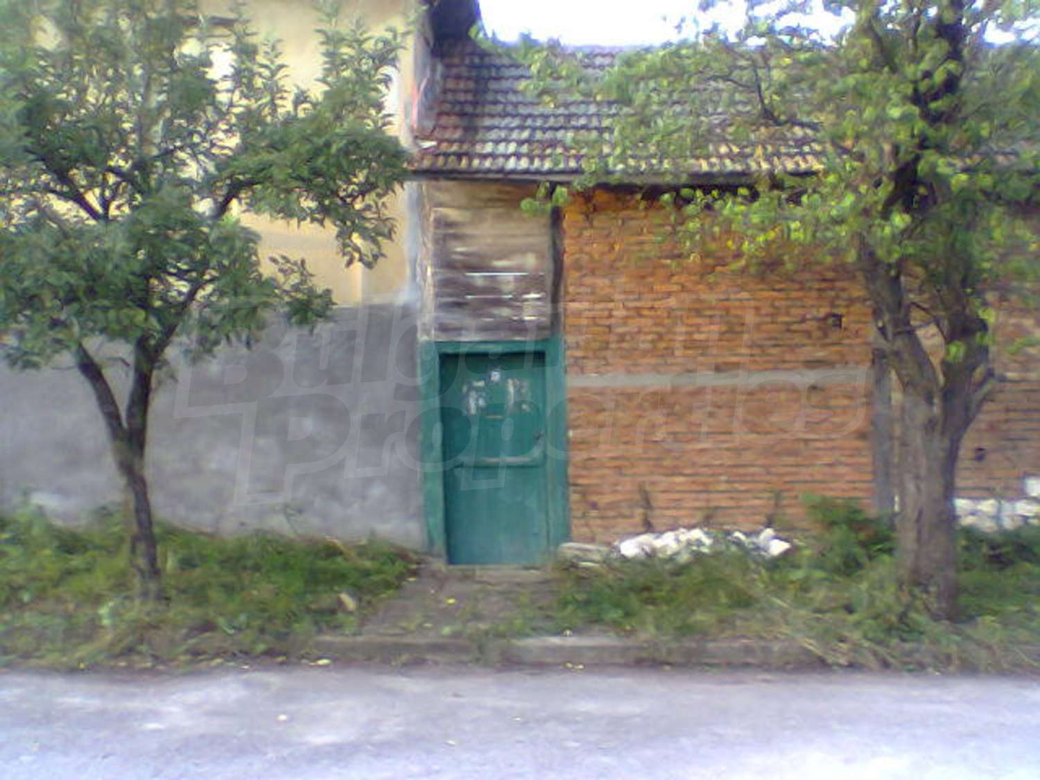 Gallery Picture 20