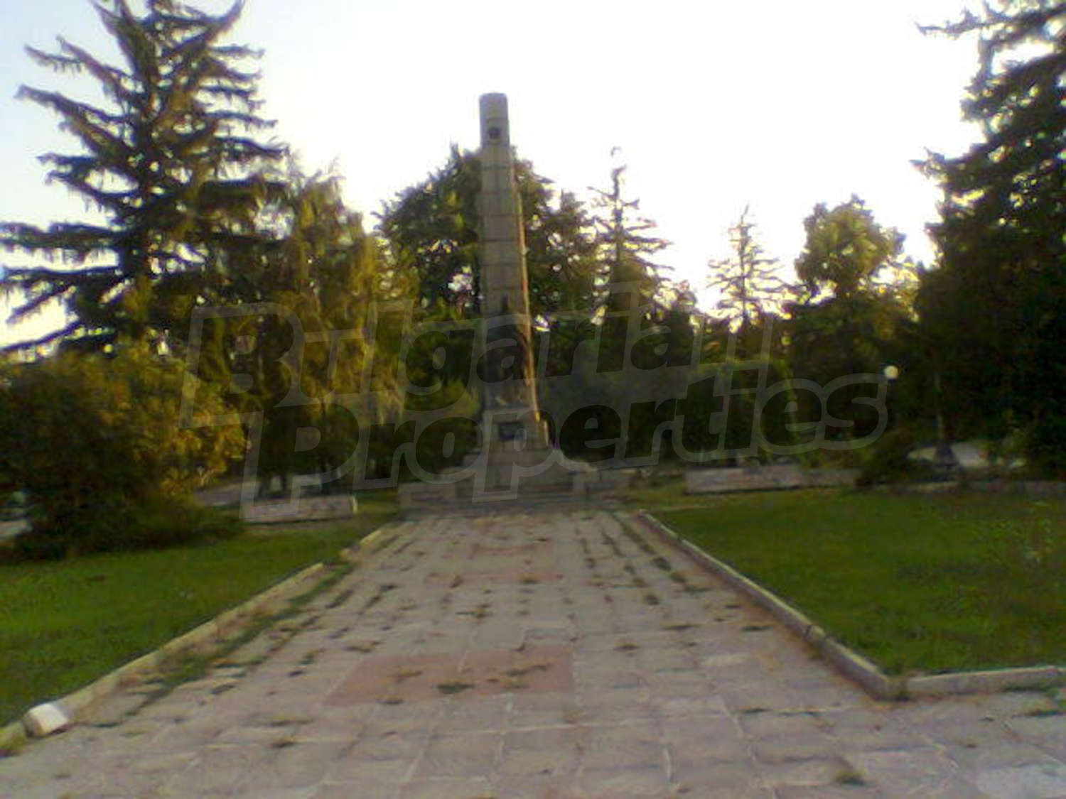 Gallery Picture 25
