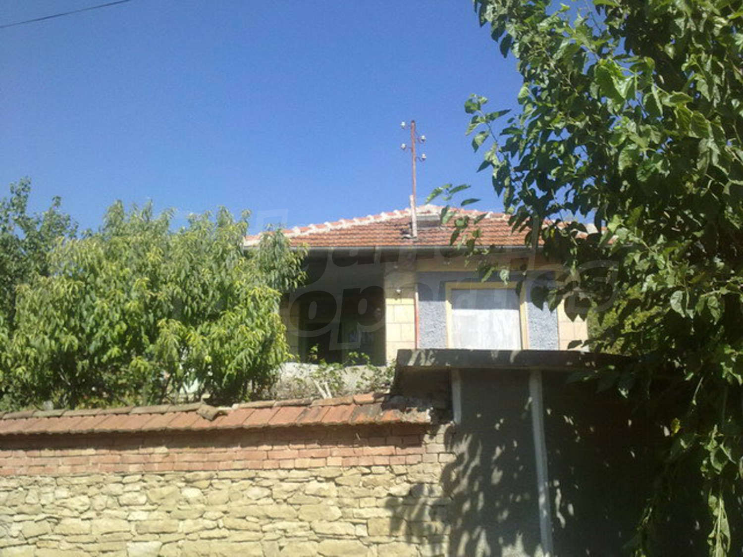 Gallery Picture 11