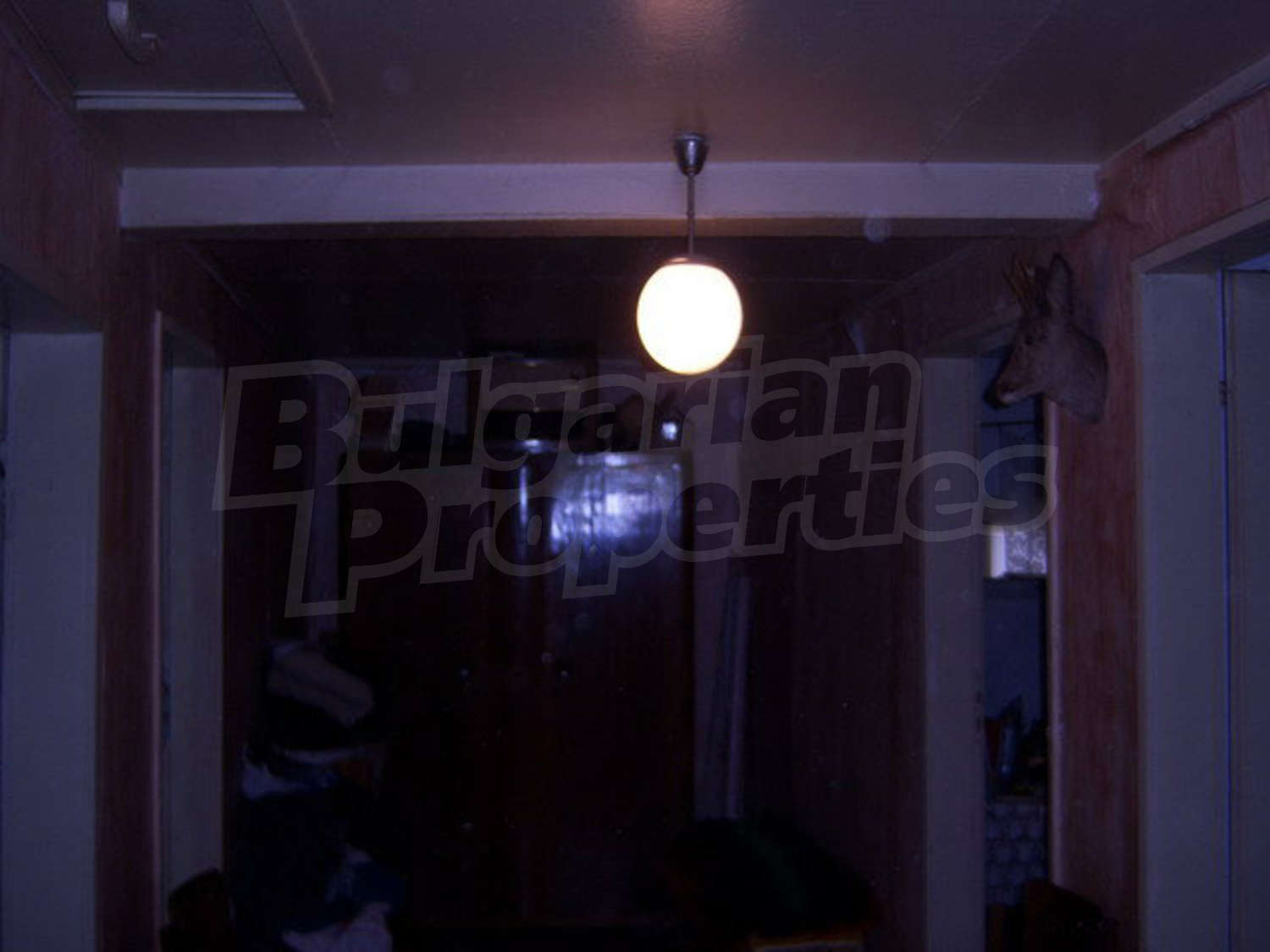 Gallery Picture 6