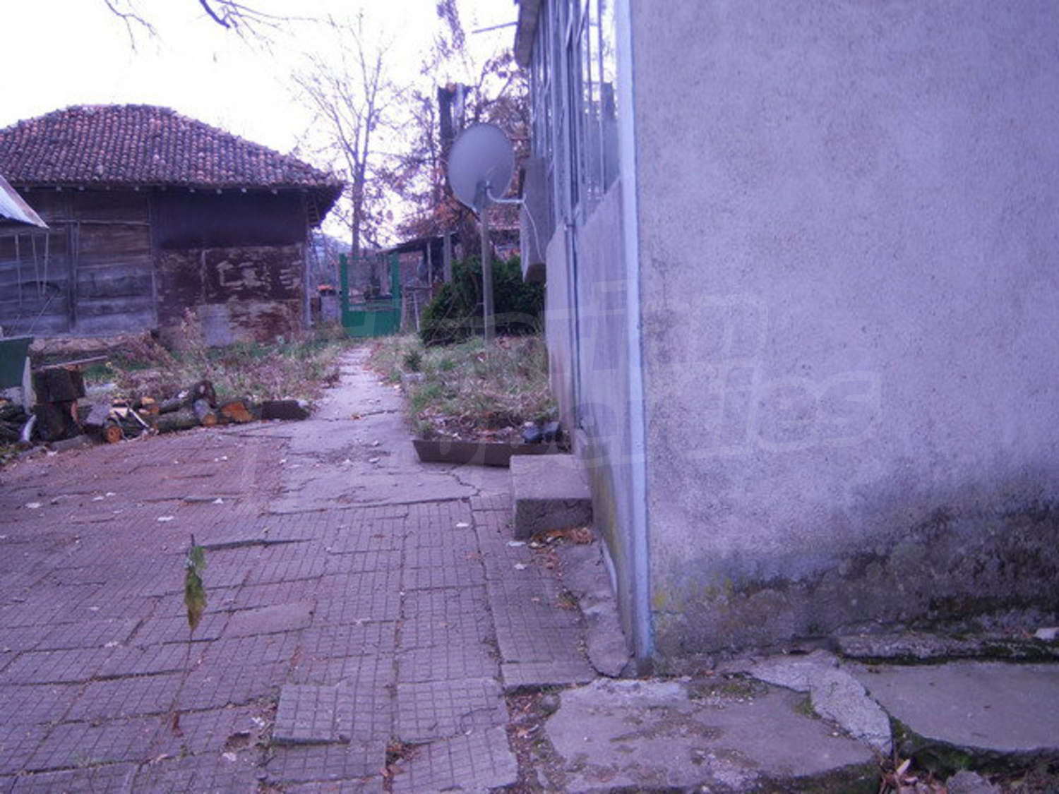 Gallery Picture 8