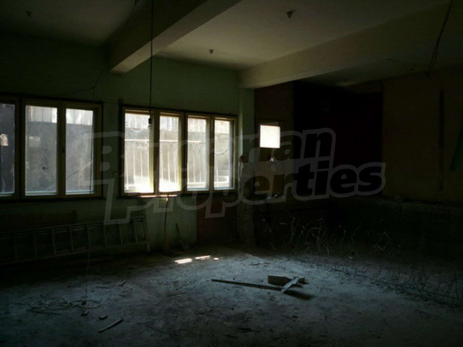 Gallery Picture 12