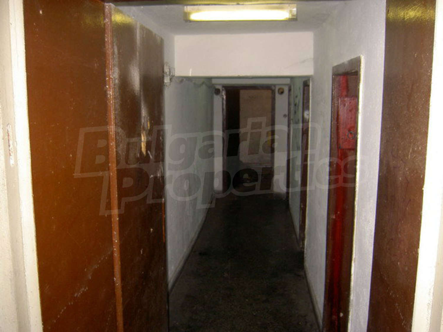 Gallery Picture 24
