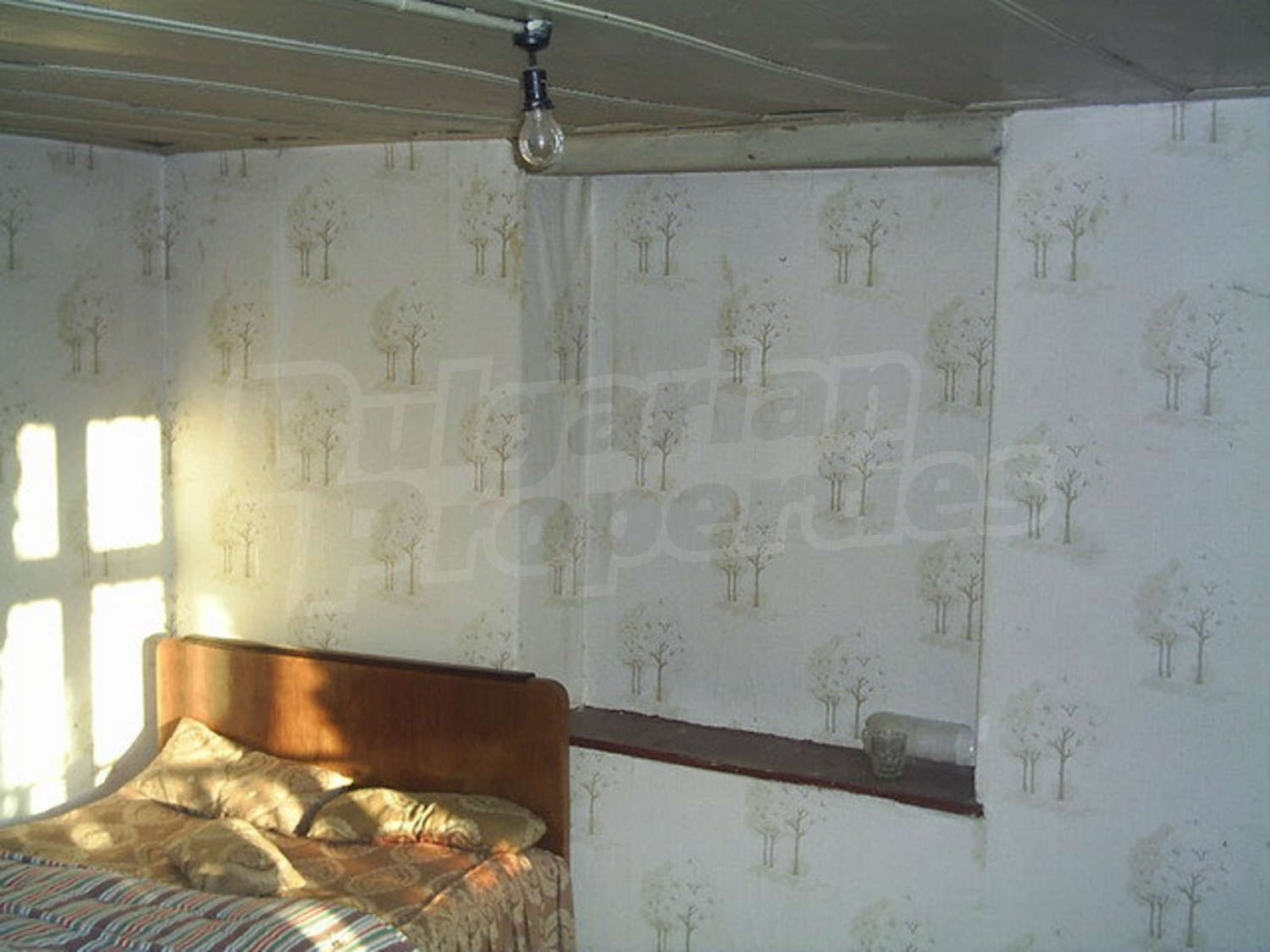 Gallery Picture 10