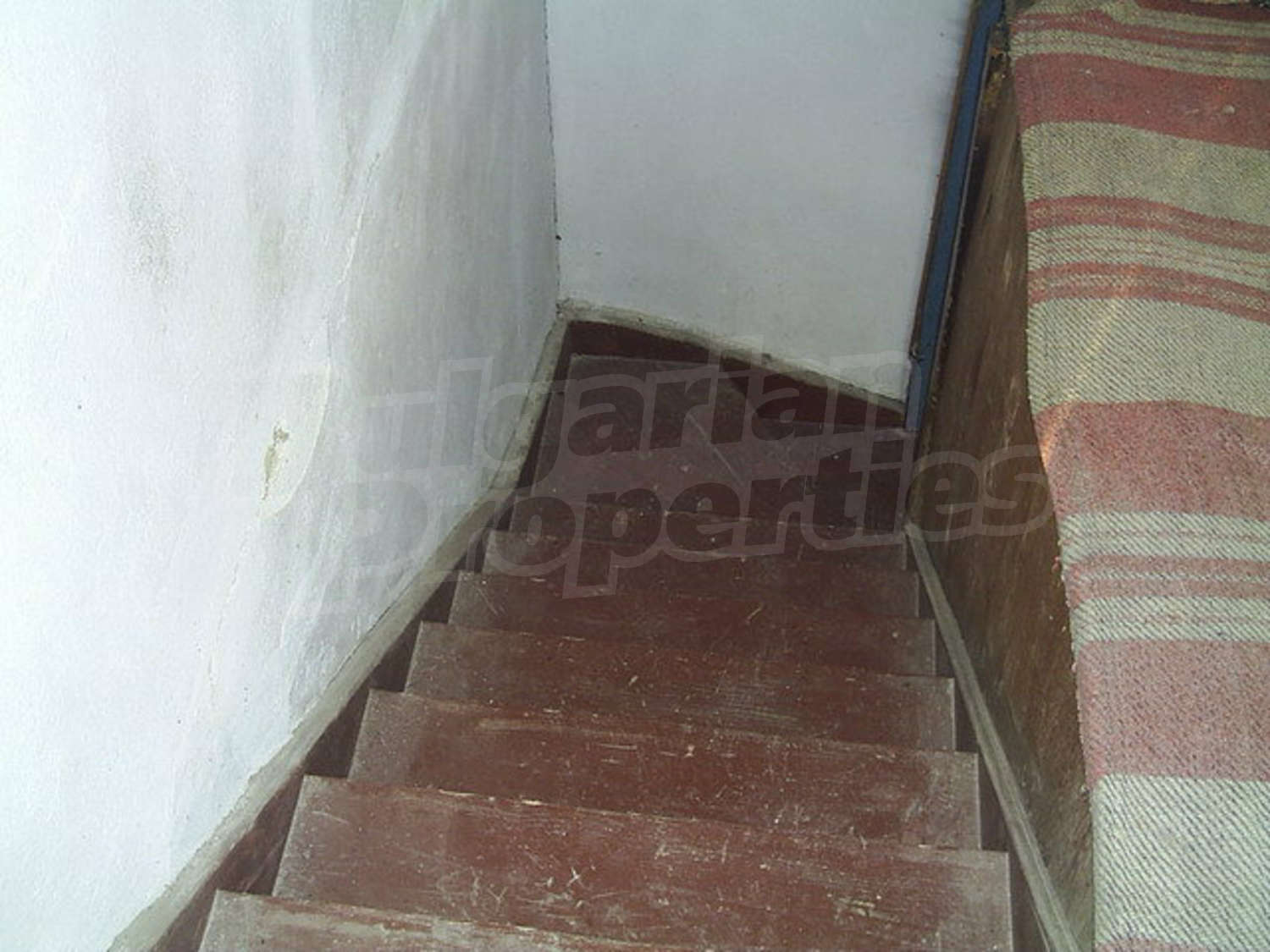 Gallery Picture 11