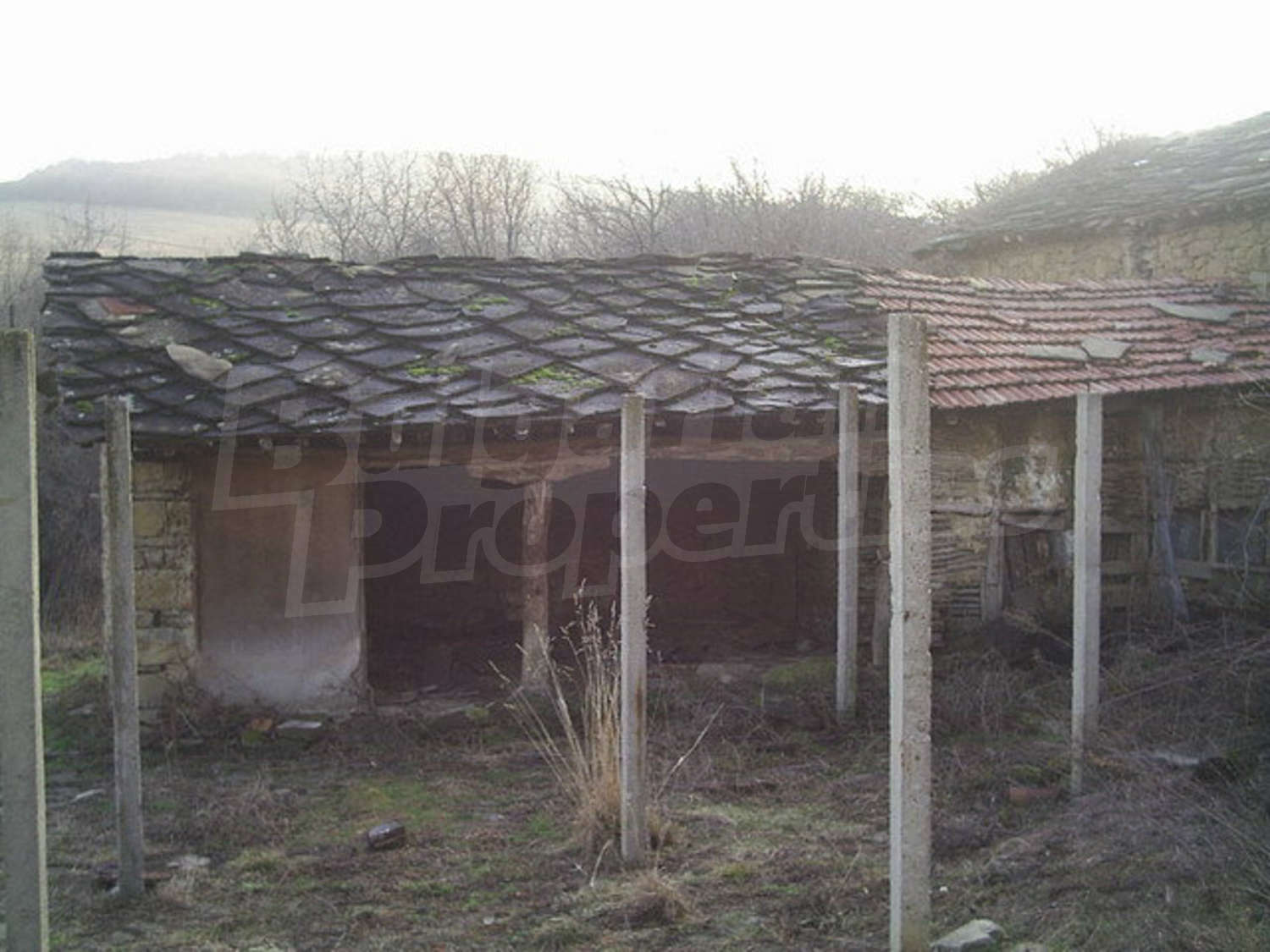 Gallery Picture 8