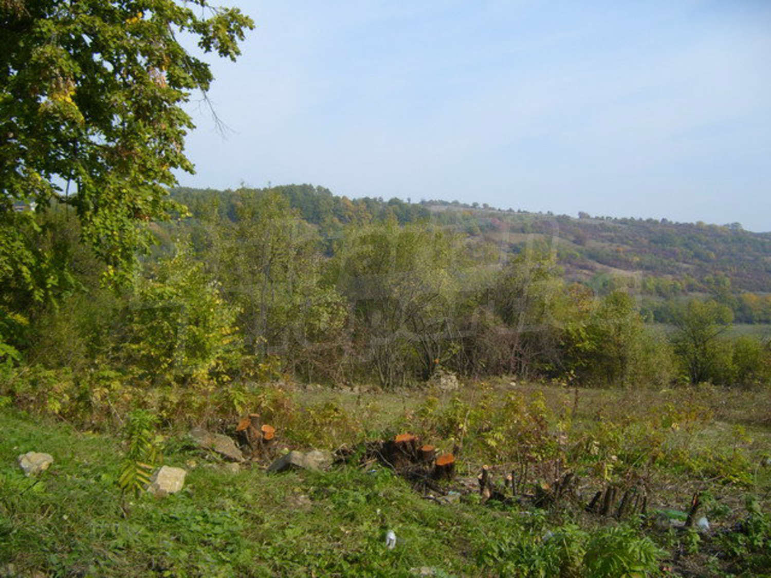 Gallery Picture 2