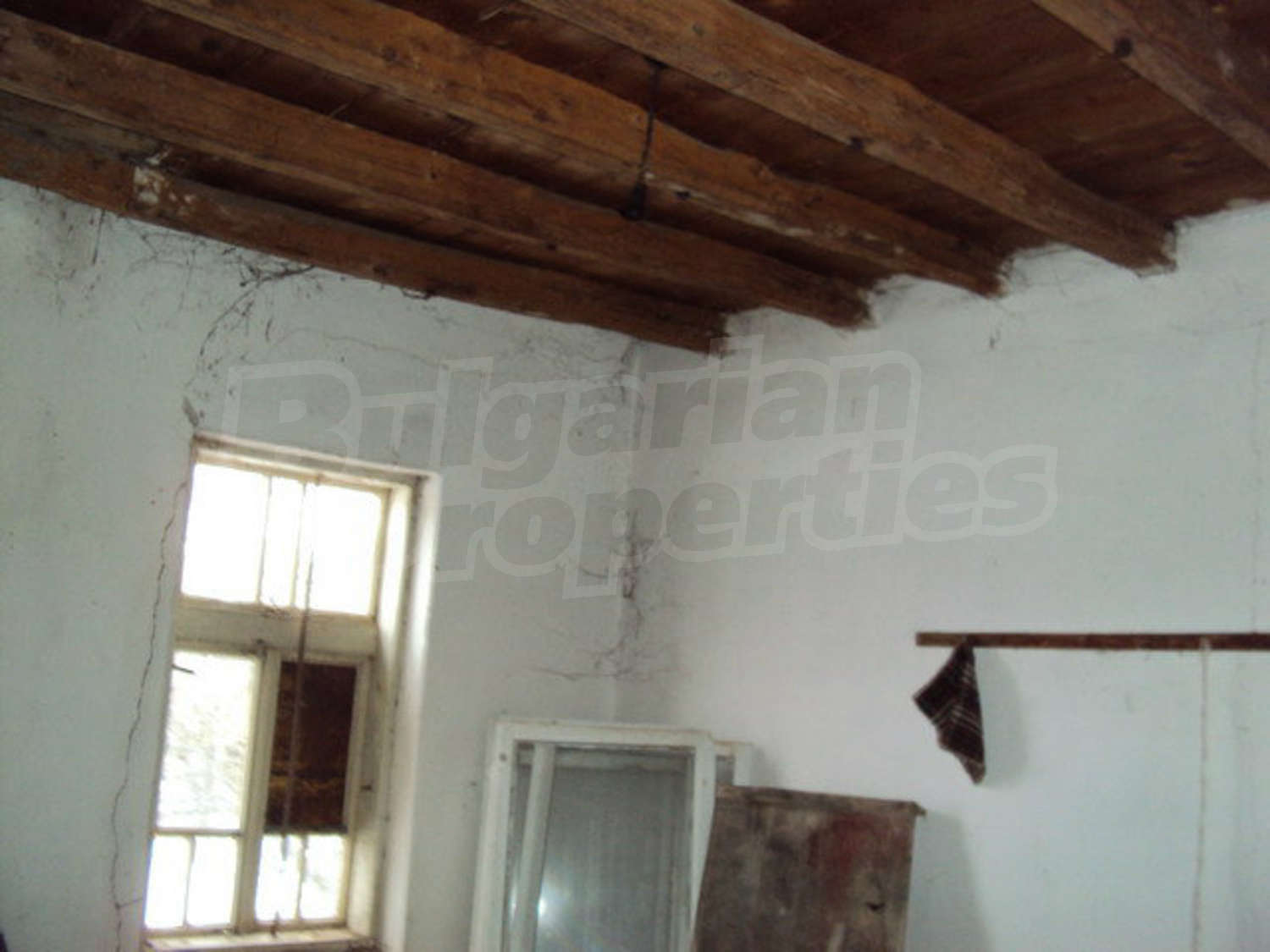 Gallery Picture 11