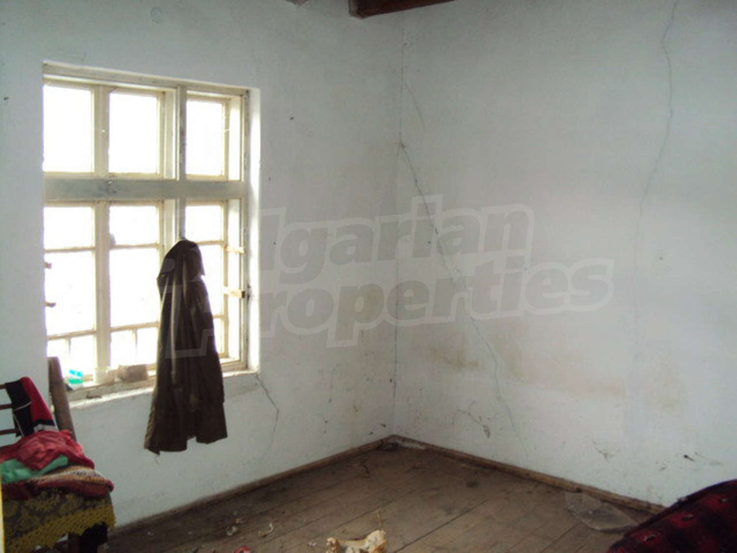 Gallery Picture 13