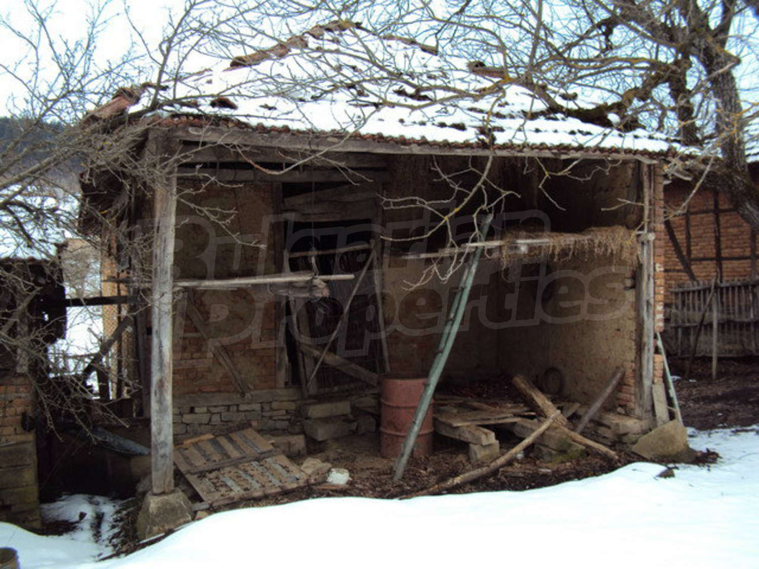 Gallery Picture 18