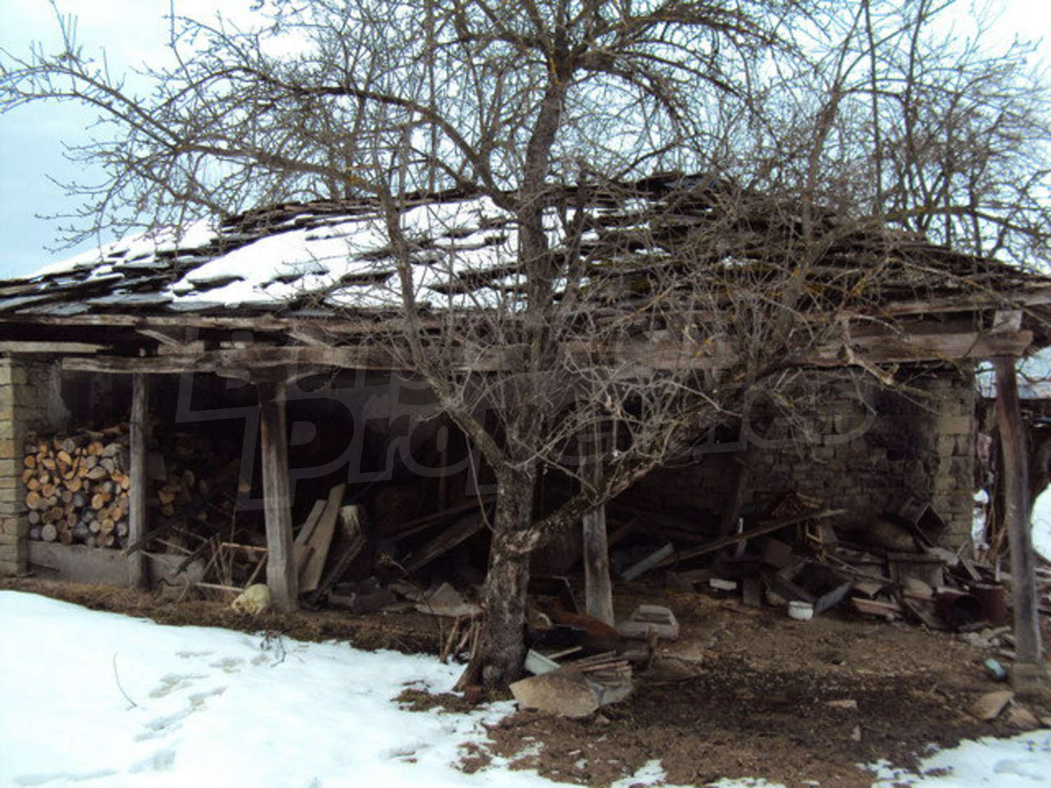 Gallery Picture 19