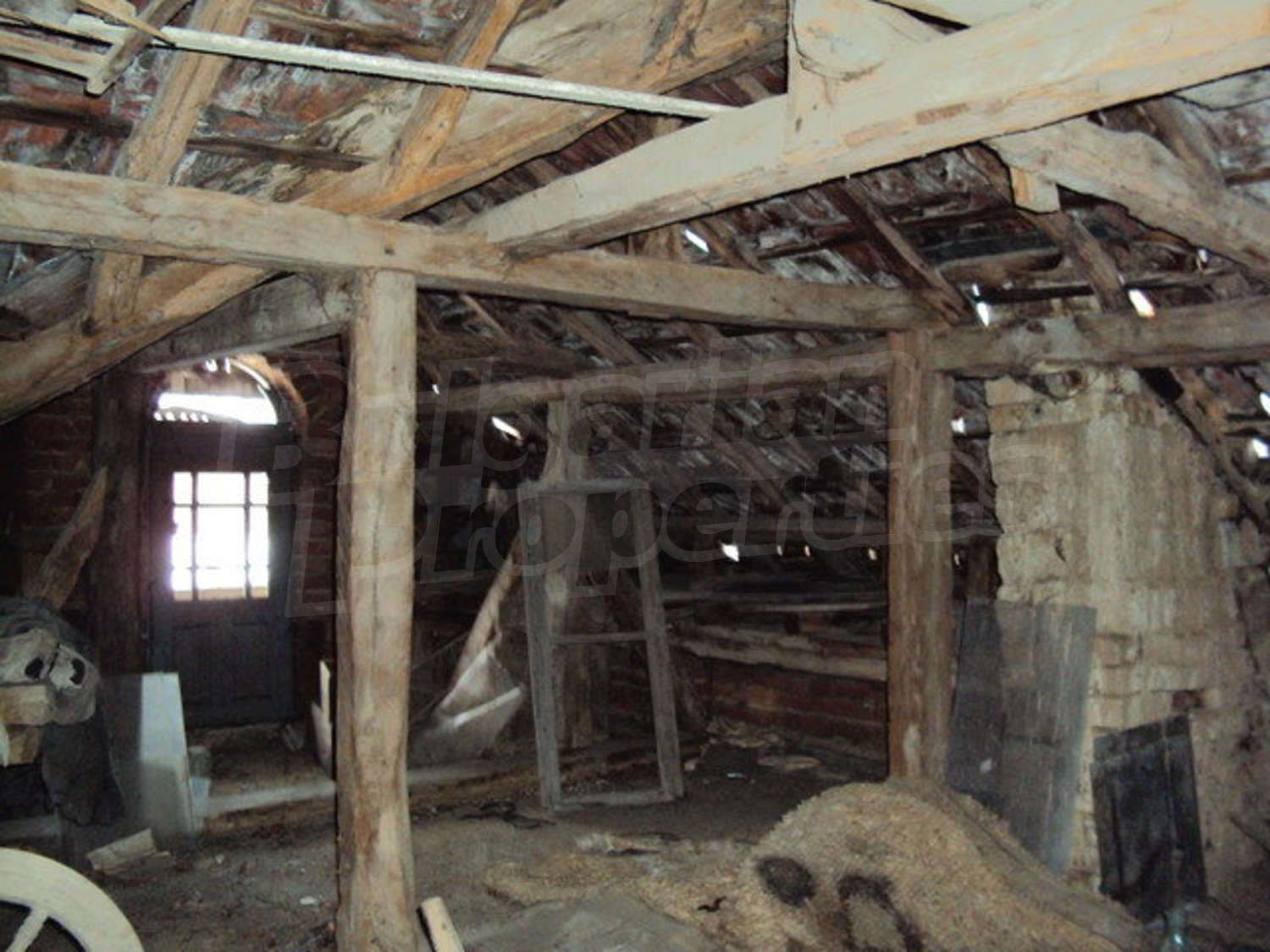 Gallery Picture 25