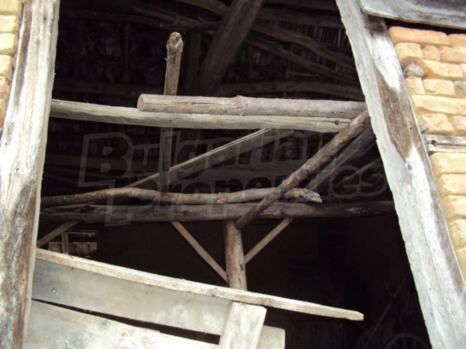 Gallery Picture 28