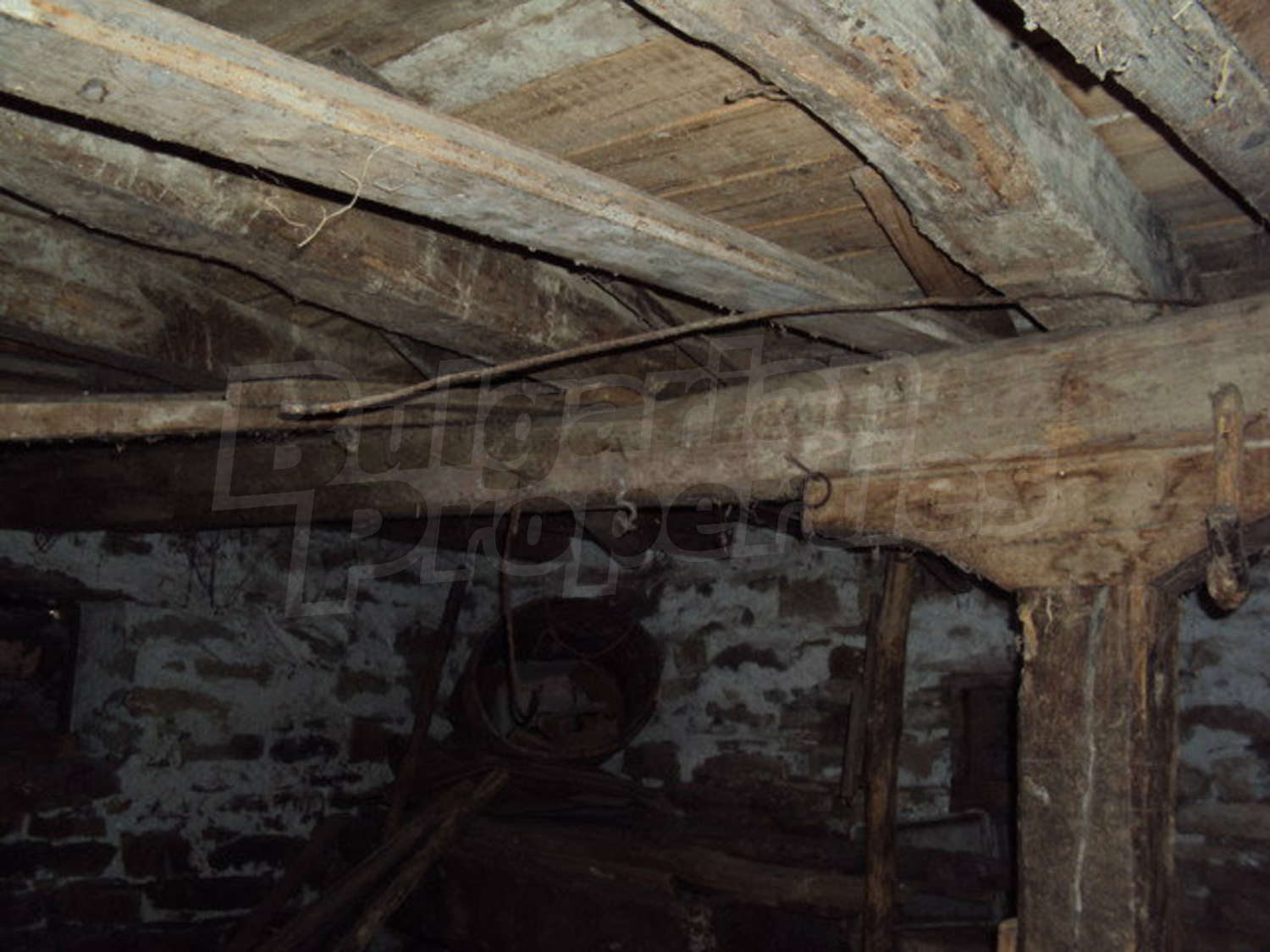 Gallery Picture 29
