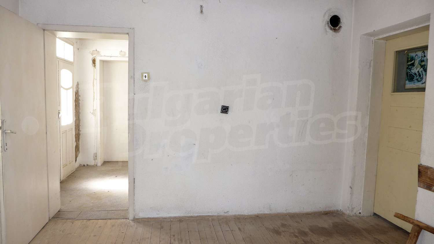 Gallery Picture 16
