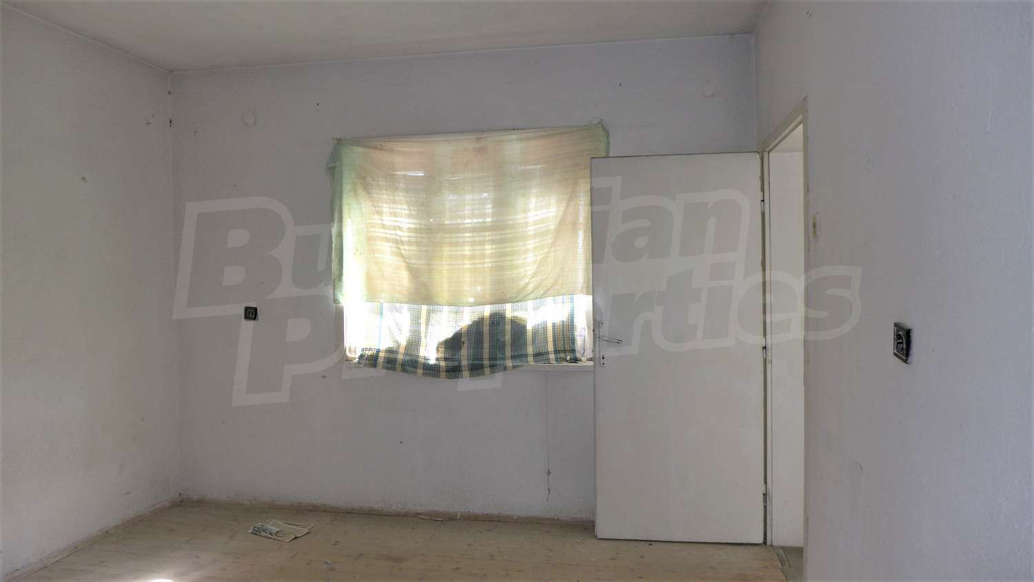 Gallery Picture 19
