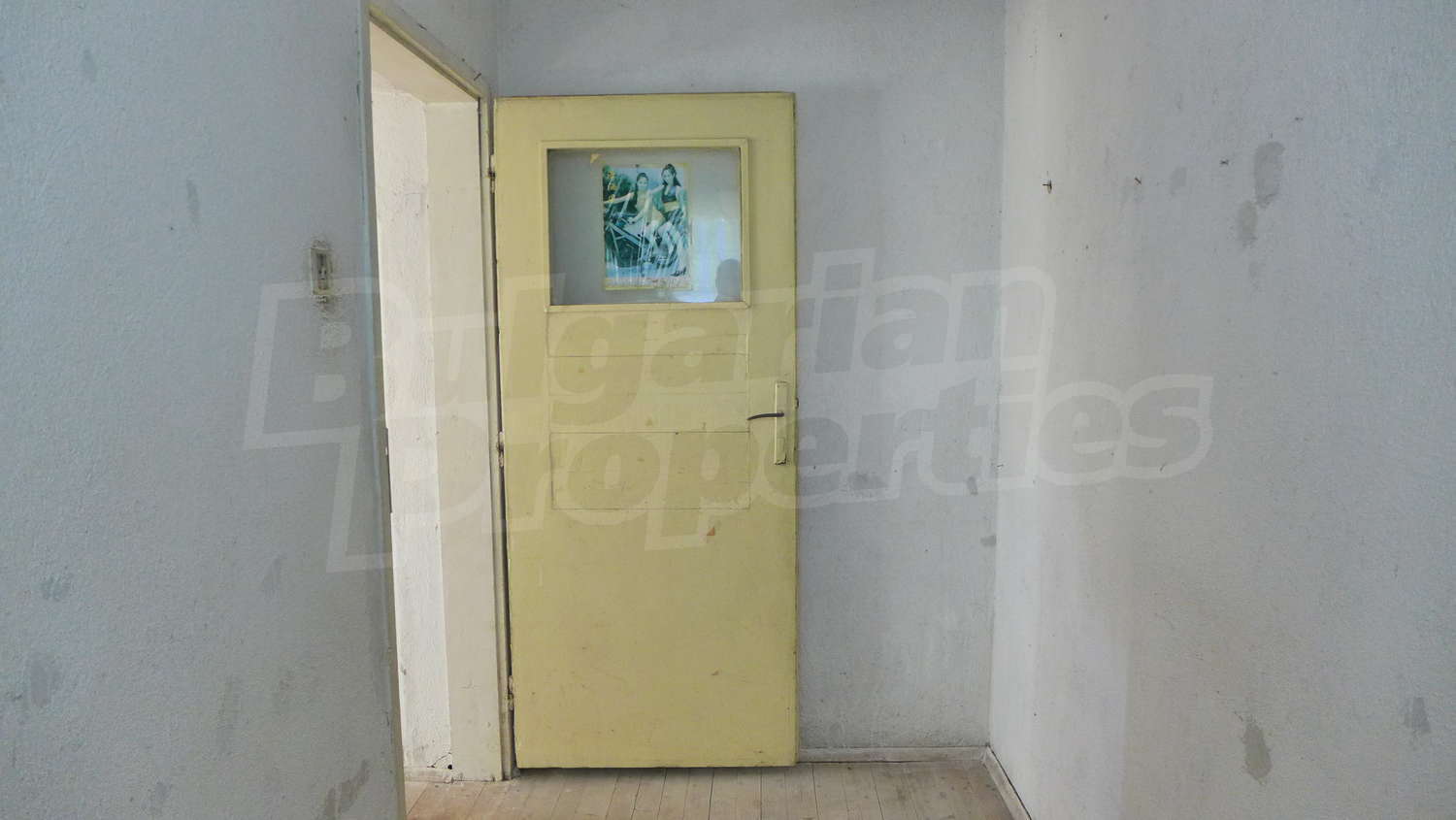 Gallery Picture 21