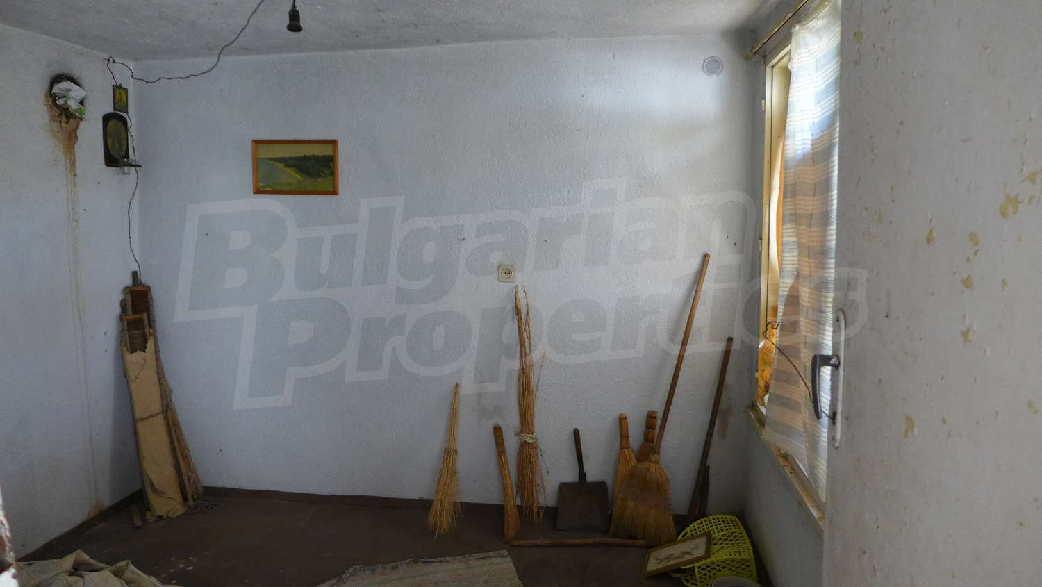 Gallery Picture 33