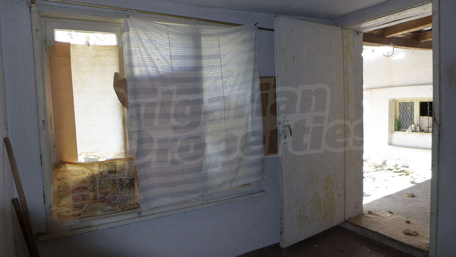 Gallery Picture 34