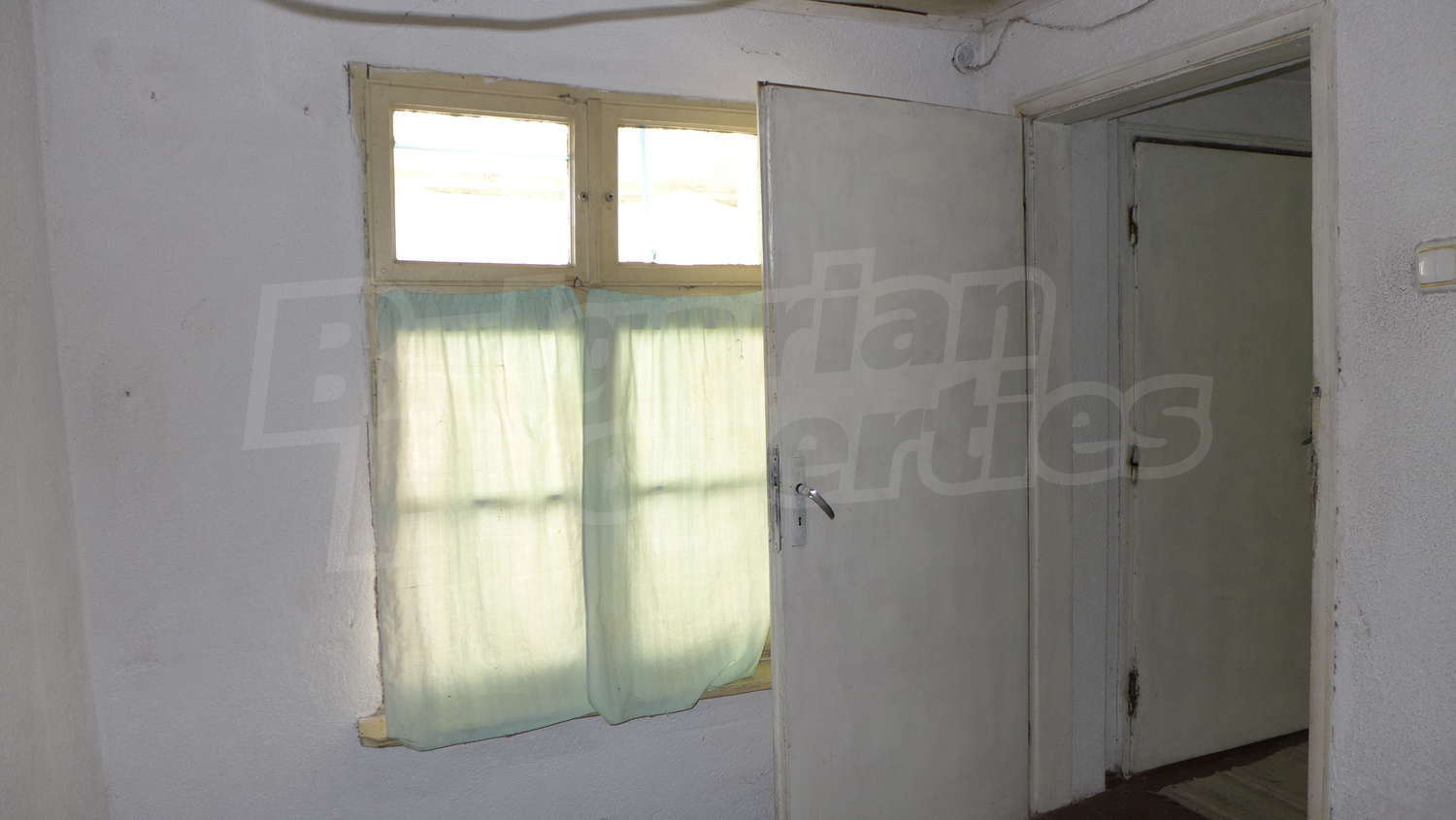 Gallery Picture 41