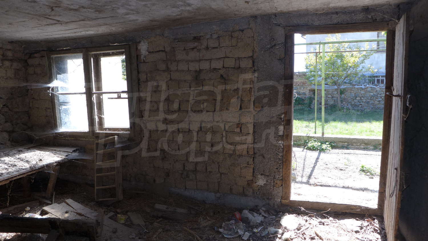Gallery Picture 56