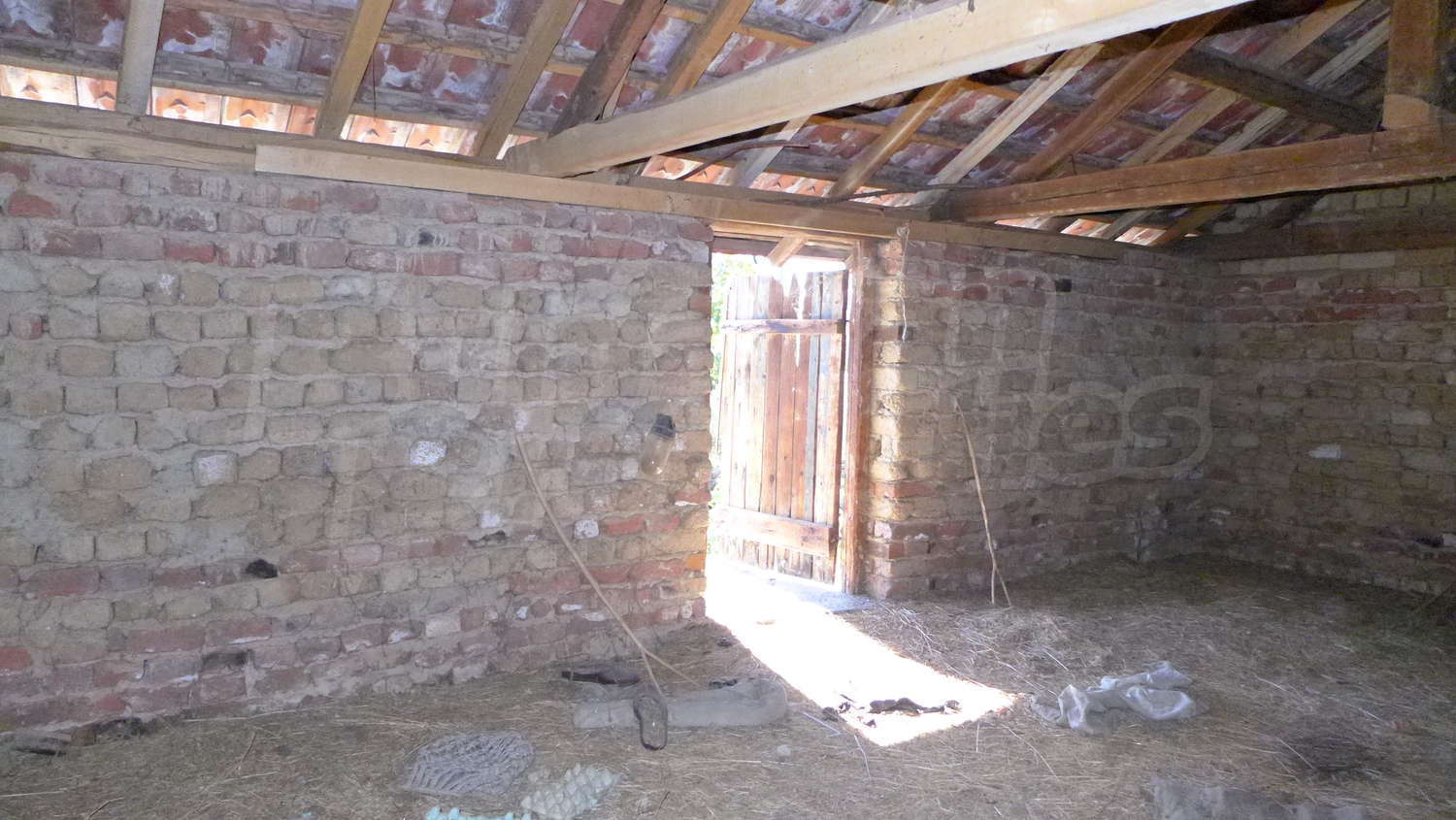 Gallery Picture 61