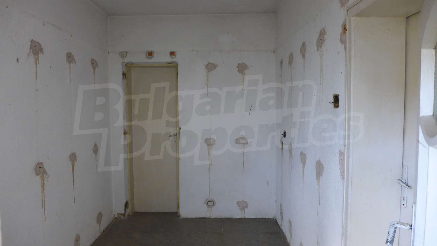 Gallery Picture 7