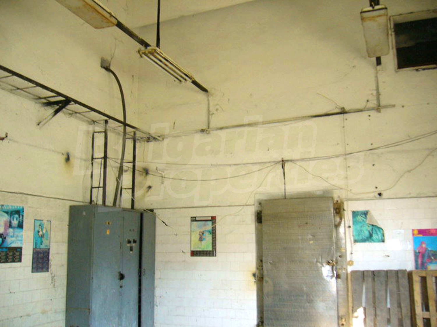 Gallery Picture 14