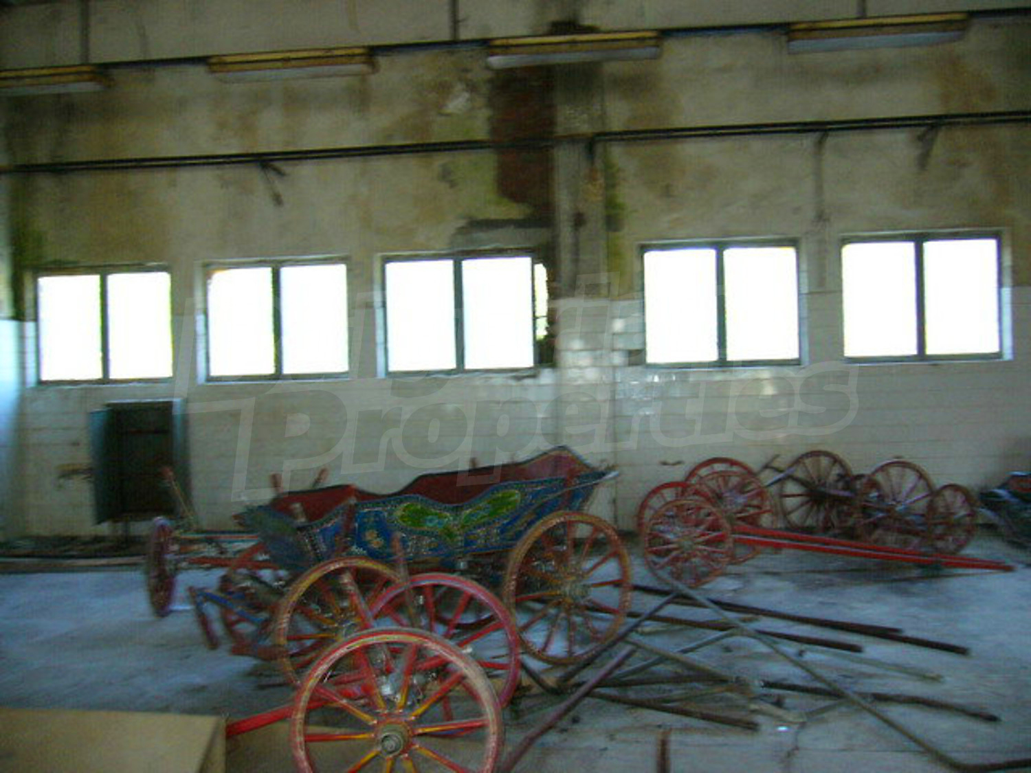 Gallery Picture 16