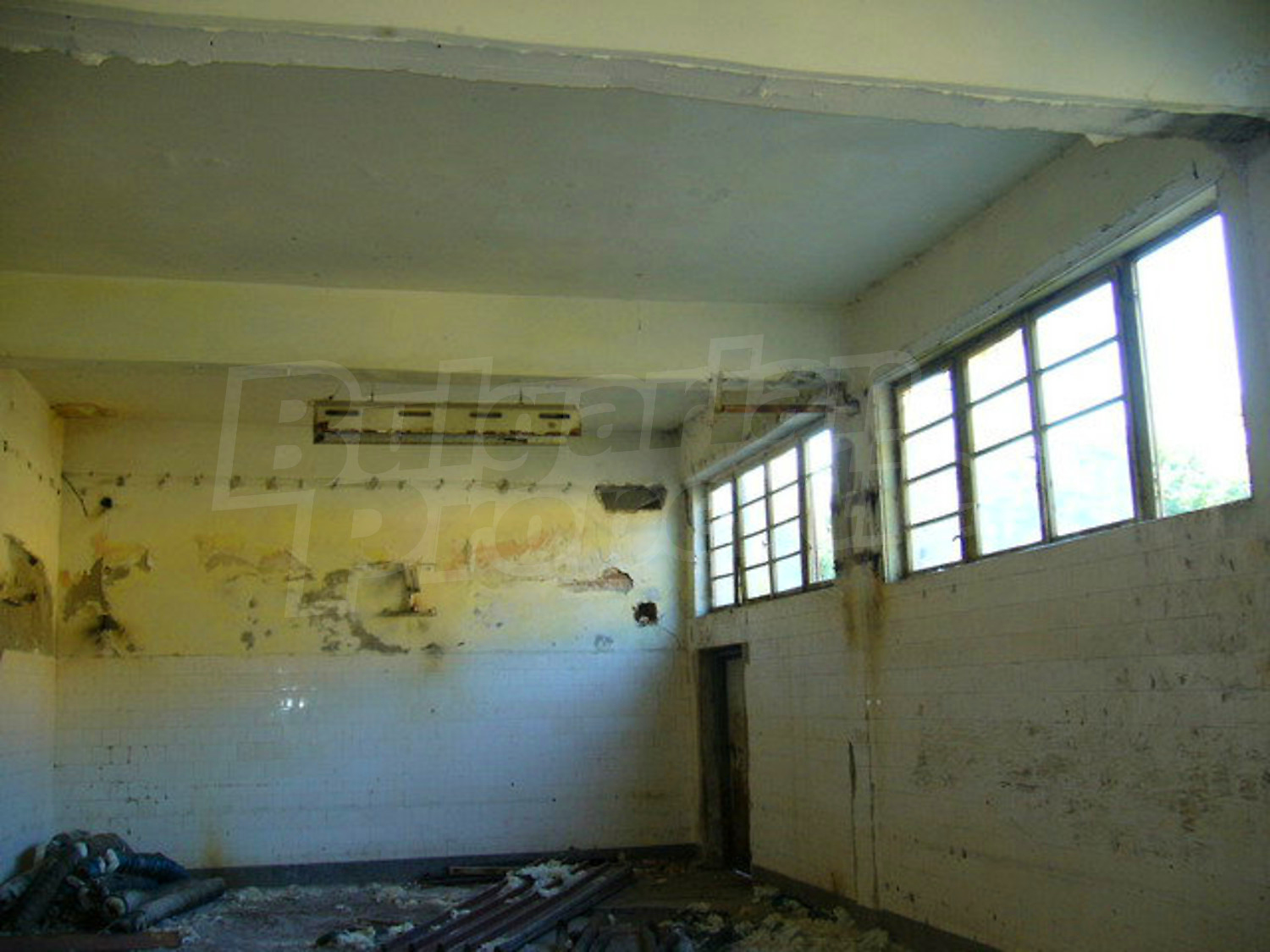 Gallery Picture 17