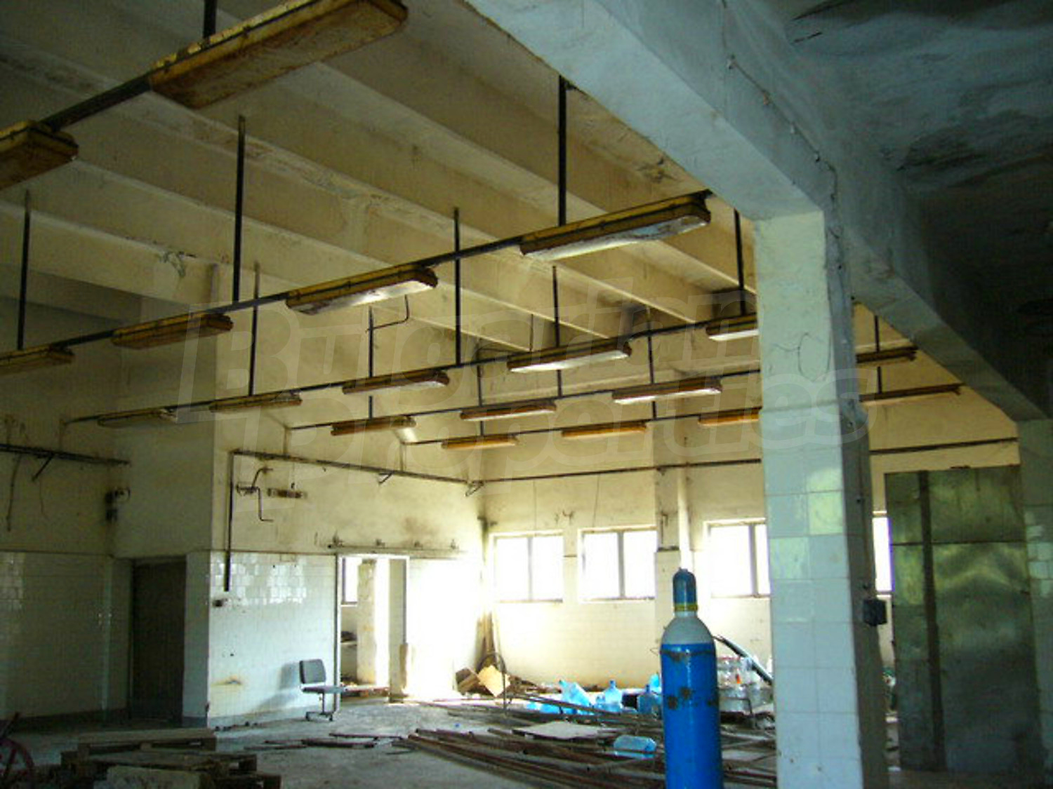 Gallery Picture 19