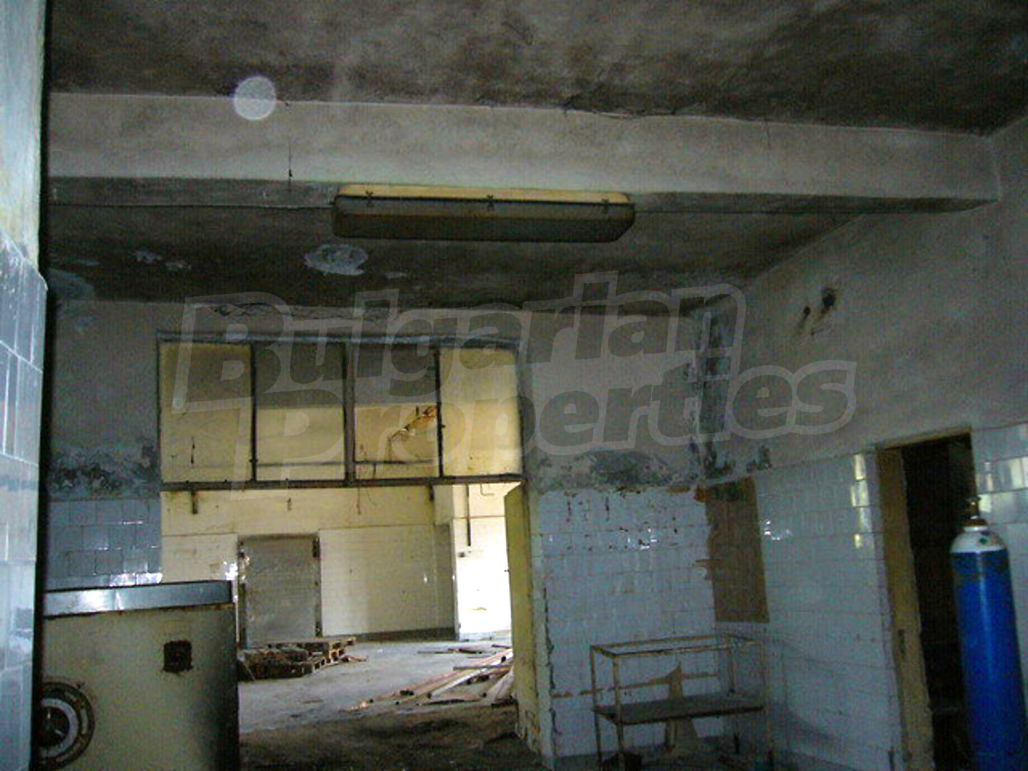 Gallery Picture 21