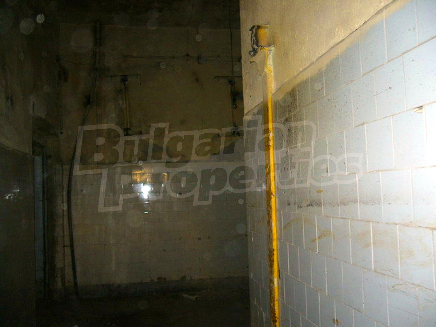 Gallery Picture 23